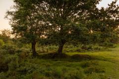 1_20240623-_MG_7848